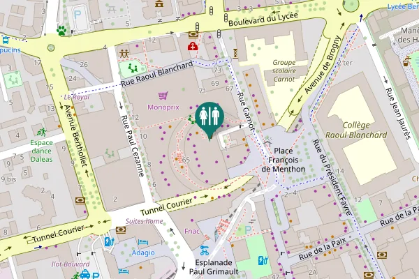 Map showing location of Rue Carnot 65 Toilet