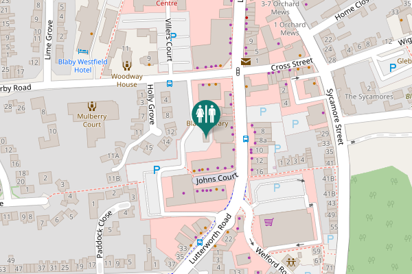 Map showing location of Johns Court 12 Toilet