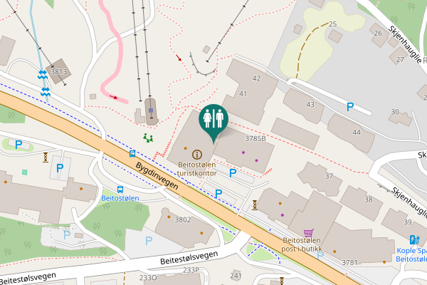 Map showing location of Bygdinvegen 3787 Toilet