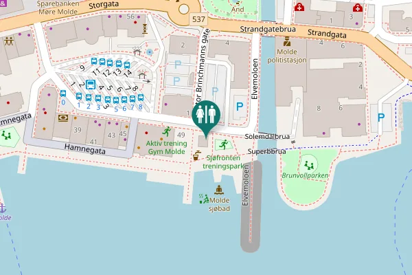 Map showing location of Apoteker Aas gate Toilet