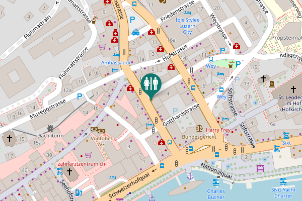 Map showing location of Alpenstrasse 6 Toilet