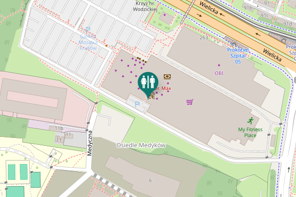 Map showing location of Wielicka 259 Toilet