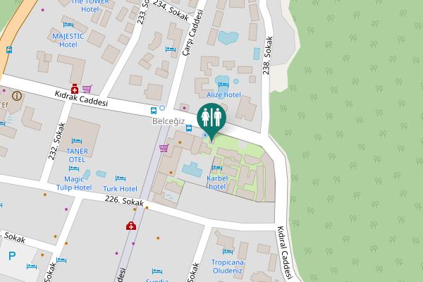 Map showing location of Kıdıral Caddesi Toilet