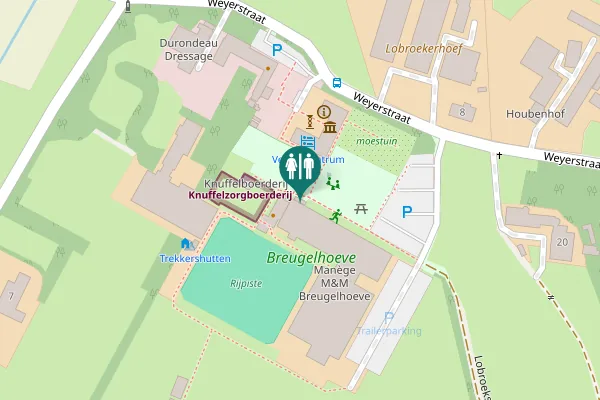 Map showing location of Weyerstraat 1A Toilet
