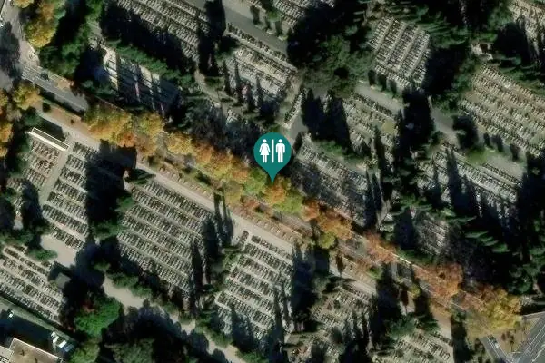 Satellite view of Avenue de la Reine Hélène d'Italie Toilet