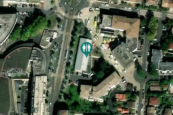 Satellite view of Cours de la Libération 300 Toilet