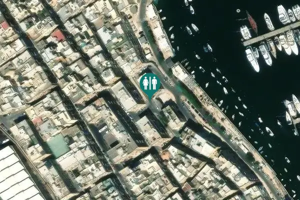 Satellite view of Papal Visit Street Toilet