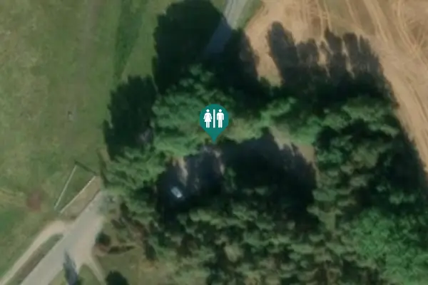 Satellite view of T 669 Toilet