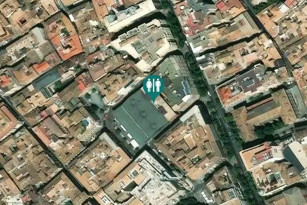 Satellite view of Calle Postigo San Agustín Toilet