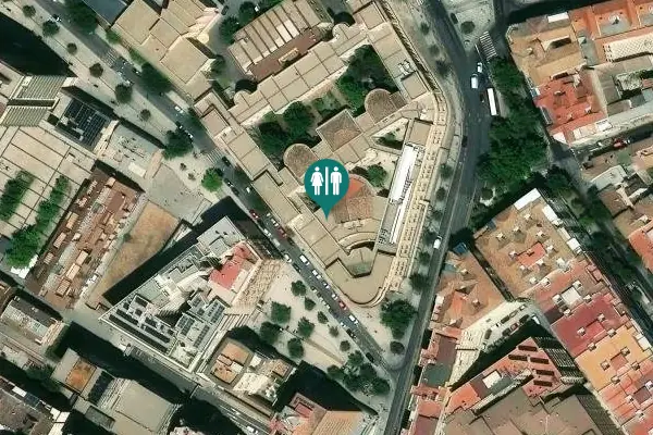 Satellite view of Avenida de Madrid 13 Toilet