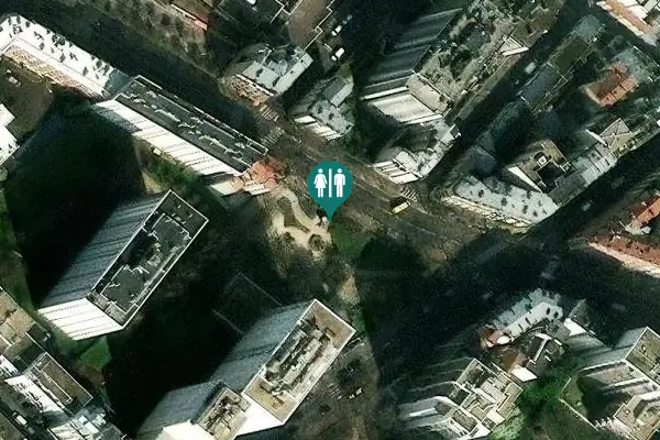 Satellite view of Rue d'Alésia 217 Toilet